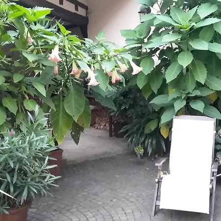 度假居 Ferienhaus Karlsruhgasse Billigheim-Ingenheim