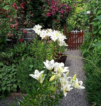 度假居 Ferienhaus Karlsruhgasse Billigheim-Ingenheim