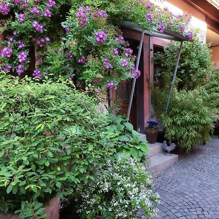 度假居 Ferienhaus Karlsruhgasse Billigheim-Ingenheim