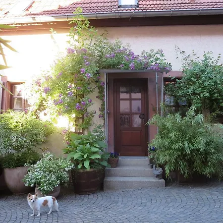 度假居 Ferienhaus Karlsruhgasse
